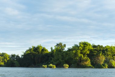 Khong Nehri manzarası, Laos