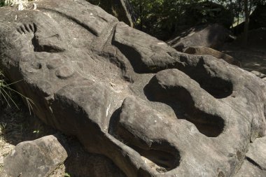 carved wood in the park