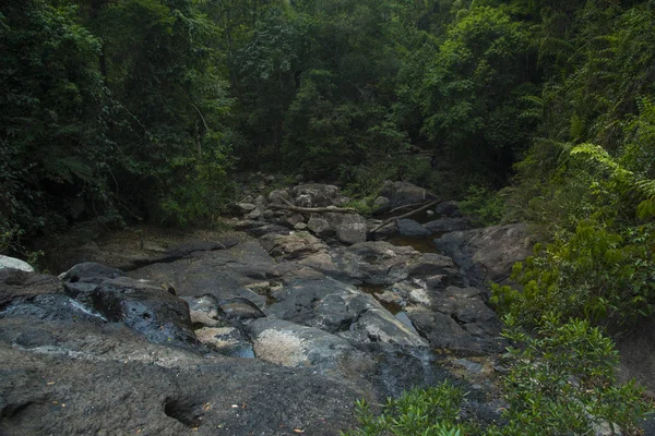 Vista Floresta Tropical Tailândia — Fotografia de Stock