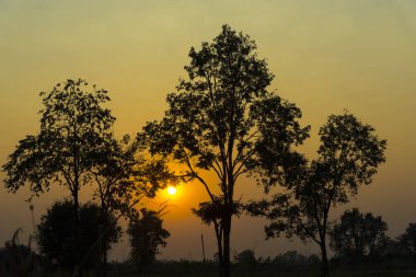 tropikal yağmur ormanlarında, Khao Yai Milli Parkı, Tayland doğal kaynak görünümü