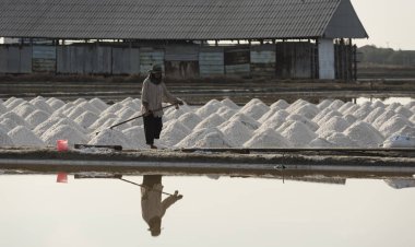 Petchaburi- 28 Ocak: İşçiler tuzdan tuz taşınmasına yardım ediyorlar. Ban Laem, Phetchaburi, Tayland 28 Ocak 2016