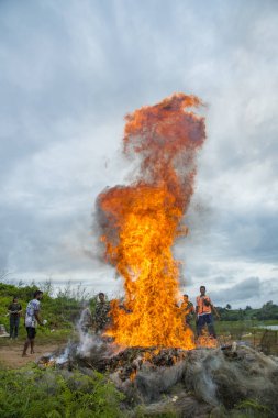 Kanchanaburi, Tayland - 15 Eylül 2015: Yasadışı yangınlar. Gönüllüler, 15 Eylül 2015 'te Kanchanaburi' de uyuşturucuların yok edilmesine yardım ediyor.