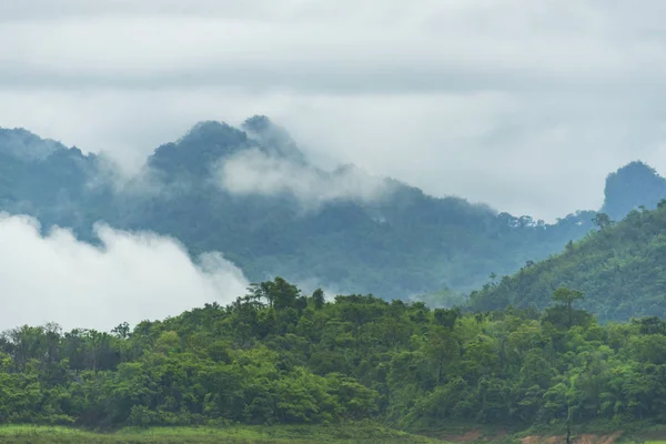 Άποψη Του Τροπικού Δάσους Ταϊλάνδη — Φωτογραφία Αρχείου