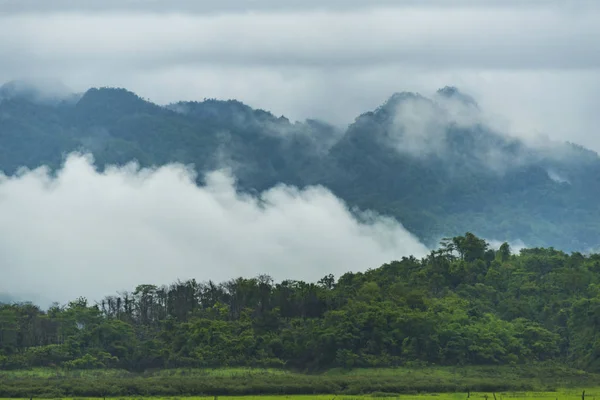Beautiful Tropical Forest Mountains — Fotografia de Stock