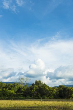 Mavi gökyüzü ve bulutlarıyla güzel yeşil bir arazi.