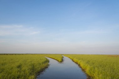 Tayland Ramsar Kongresi 'ndeki sulak alanlar, Nakhonsawan Boraphet Gölü. 