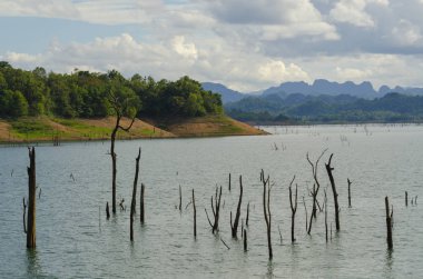 Arkasında bir göl olan güzel bir manzara.