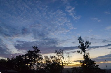 Kışın ormanın ağaçları, akşam gökyüzüne karşı siluetler
