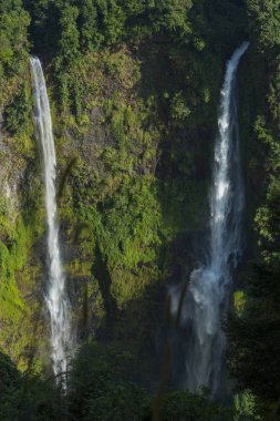 beautiful waterfalls in summer forest