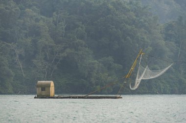 Kuru tropikal yeşil orman manzarası