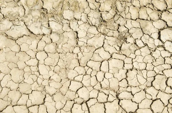 干燥的土壤干裂了地球纹理 — 图库照片