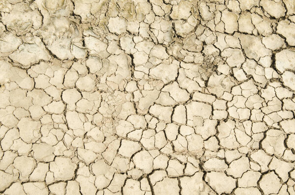 Сухая почва с трещинами
