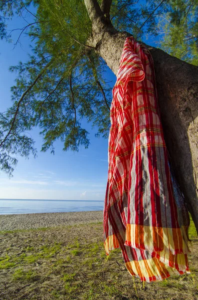 Close Shot Beach Tree Red Towel Ocean — Stockfoto
