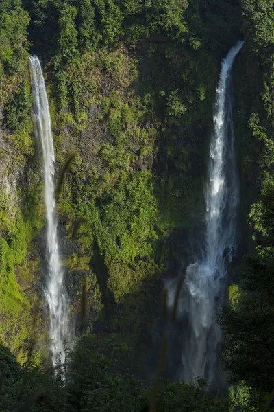 Beautiful Waterfalls Summer Forest — Stock Photo, Image