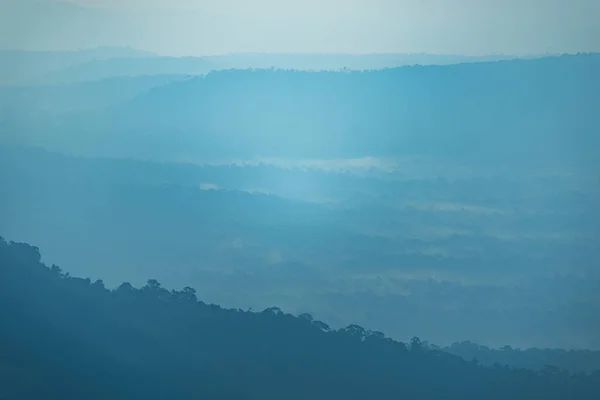 Vista Del Paisaje Del Bosque Tropical Siempreverde Seco — Foto de Stock