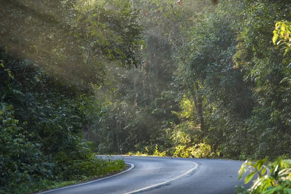 Vista Paisagem Floresta Tropical Seca Perene — Fotografia de Stock