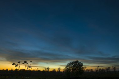 doğa arka plan mavi gökyüzünde