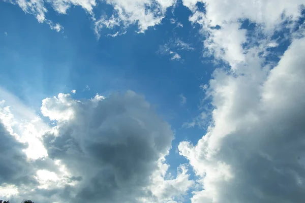 Nature Background Blue Sky — Stock Photo, Image