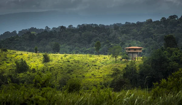 Weergave Van Natuur Van Khao Yai Nationaal Park Thailand — Stockfoto