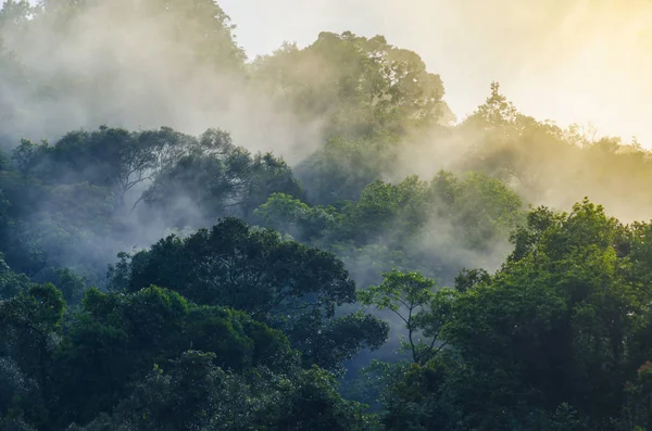 Doğa görünümü Khao Yai Milli Parkı, Tayland