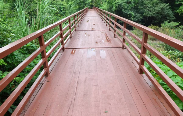 Γέφυρα Στη Ζούγκλα Εθνικός Δρυμός Κάο Γιάι Ταϊλάνδη — Φωτογραφία Αρχείου