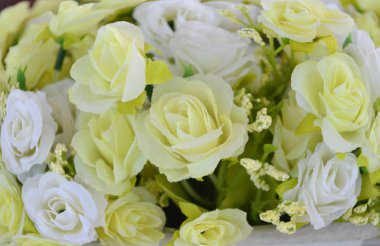 Arka planını çiçekler çok güzel