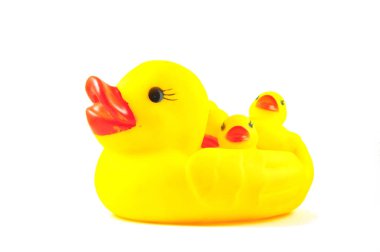 yellow ducks toy on white background