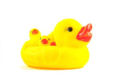 yellow ducks toy on white background
