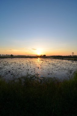 Nehrin üzerinde güzel bir gün batımı