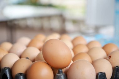 bir sepet içinde kahverengi yumurta