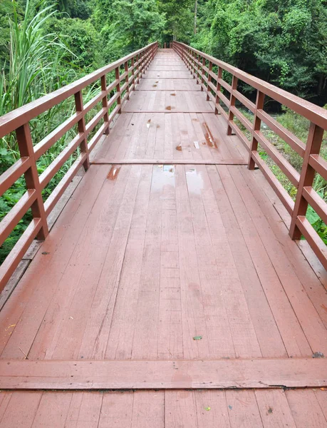 Pont Vers Jungle Parc National Khao Yai Thaïlande — Photo