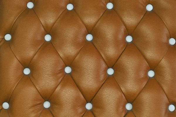 Textura Piel Marrón — Foto de Stock