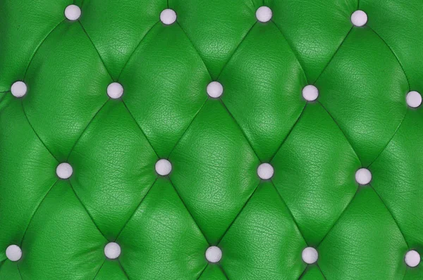 Textura Piel Verde — Foto de Stock