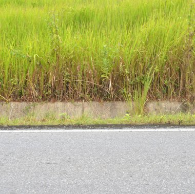 Bölüm kırsal alanda yol asfalt