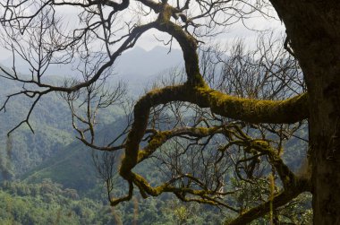 Dağ, Khao chang kralıyım, Kanchanaburi, Tayland ve üstten görünüm