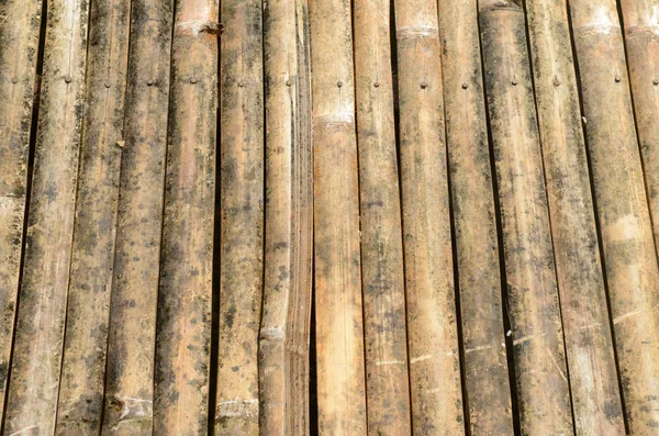 Doghe Bambù Legati Insieme — Foto Stock