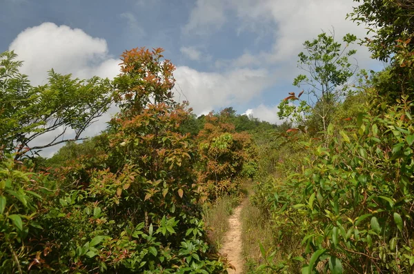 Bella Vista Sulla Natura — Foto Stock