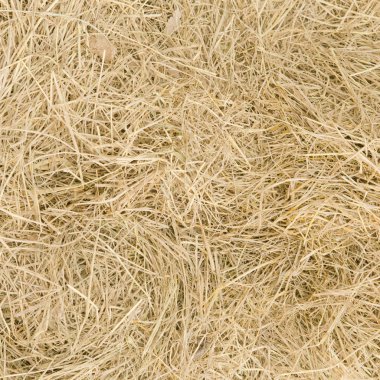 texture of hay as background or for design