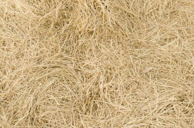 Sanat eseri, kullanmak için çalı bahçe kullanımı için resimler