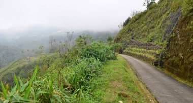 Sanat eseri, kullanmak için çalı bahçe kullanımı için resimler
