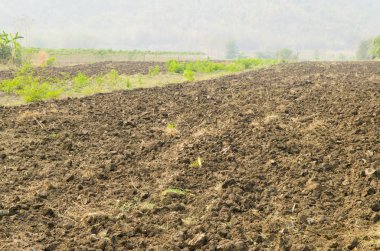 Sanat eseri, kullanmak için çalı bahçe kullanımı için resimler