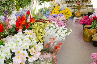 Çiçeklerin soyut arkaplanı. Yakın plan..