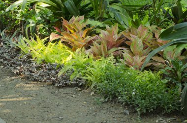 saksıyı ve Bahçe tesisi