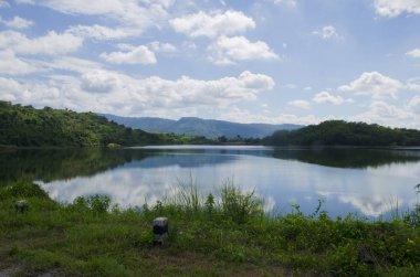 Çalı Bahçe sanat eseri için kullanmak için