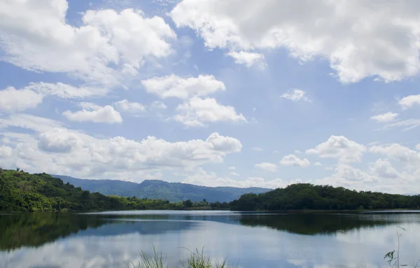 Jardín Arbustos Para Uso Obras Arte — Foto de Stock