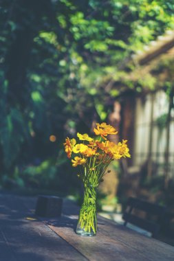 Closeup kafede bir güneşli yaz gününde bir vazoda çiçek buketi.