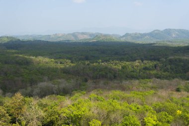 Tropik dağ ormanları, güneş ışığında palmiye ağaçları. Dominik Cumhuriyeti 'nde günbatımı manzarası. Karayip adasının doğası