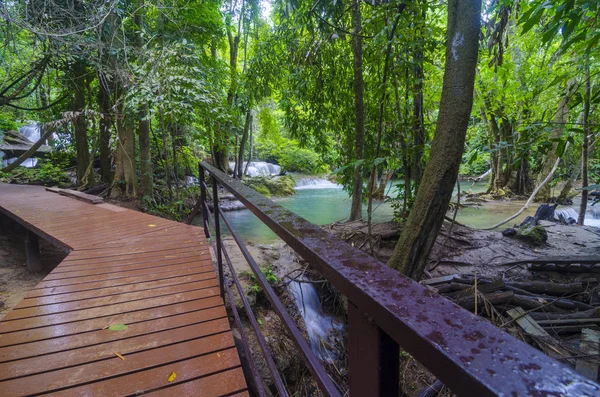 Ξύλινα Boardwalk Κιγκλίδωμα Ασφαλείας Στο Δάσος Καλοκαίρι — Φωτογραφία Αρχείου