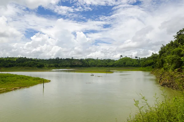 Campo Bosque Verde Tropical Parque Nacional Tailandia — Foto de Stock