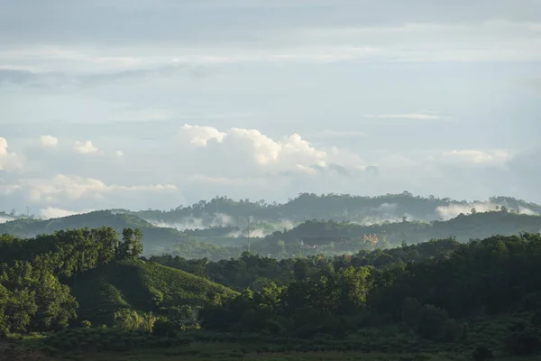 Vista Sulla Natura Della Foresta Tropicale — Foto Stock